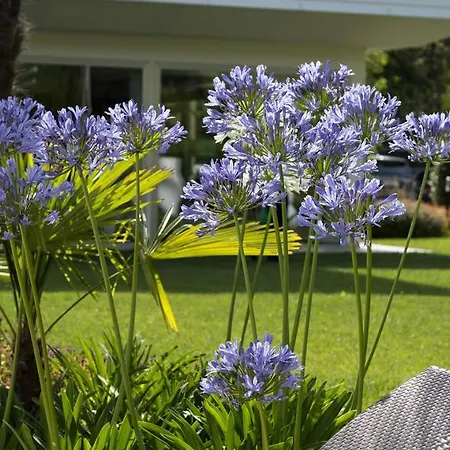 San Marco 4* Μπιμπιόνε