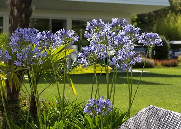 San Marco 4* 비비오네